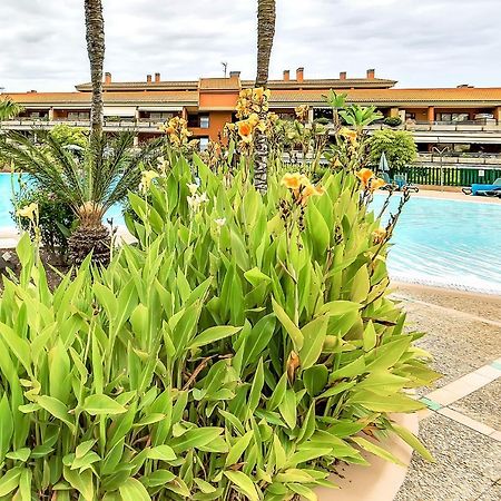 Ferienwohnung Piscinas del Teide Puerto de la Cruz  Exterior foto